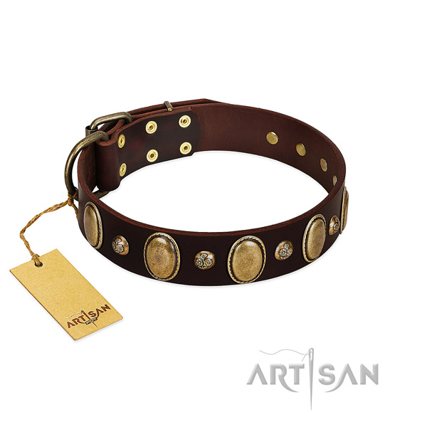 Leather dog collar of gentle to touch material with stylish design adornments