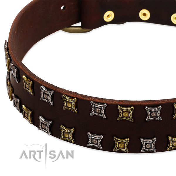 Quality genuine leather dog collar for your handsome doggie