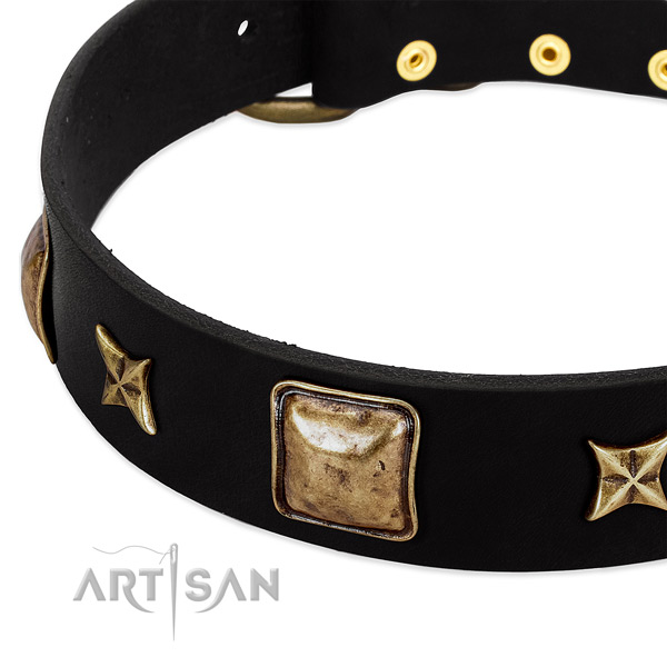 Natural leather dog collar with exceptional adornments