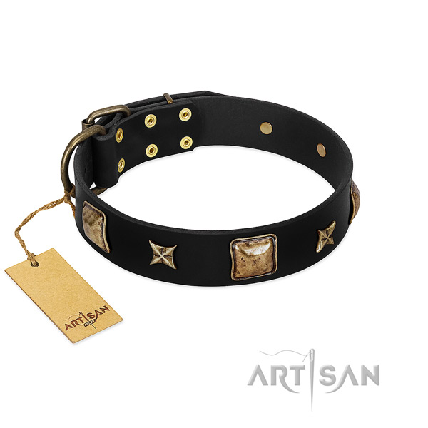 Natural leather dog collar of top rate material with exquisite studs