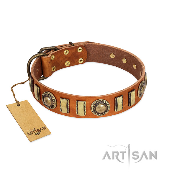 Stylish full grain leather dog collar with rust resistant traditional buckle