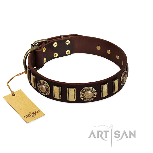 Quality natural leather dog collar with corrosion proof fittings