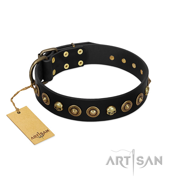Genuine leather collar with top notch embellishments for your four-legged friend