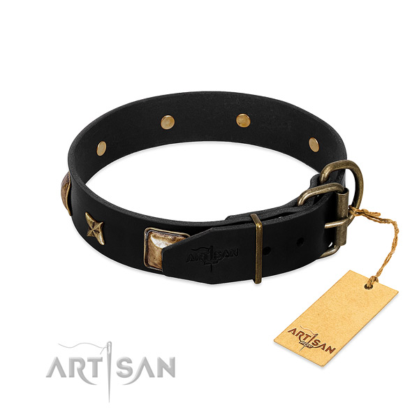 Strong fittings on leather collar for fancy walking your dog