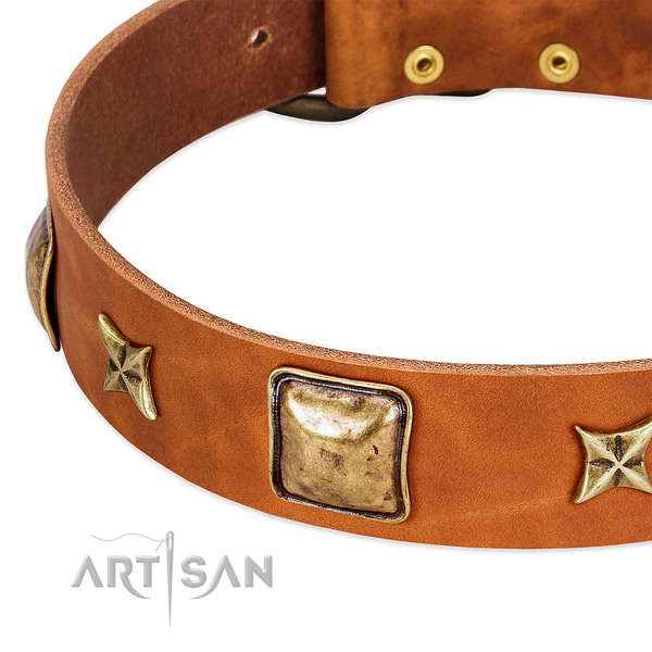 Rust resistant traditional buckle on leather dog collar for your pet