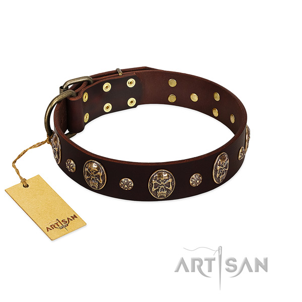 Studded genuine leather collar for your doggie