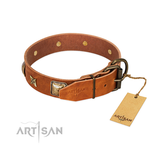 Leather dog collar with strong fittings and decorations