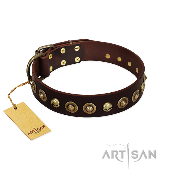 Natural leather collar with unique embellishments for your doggie