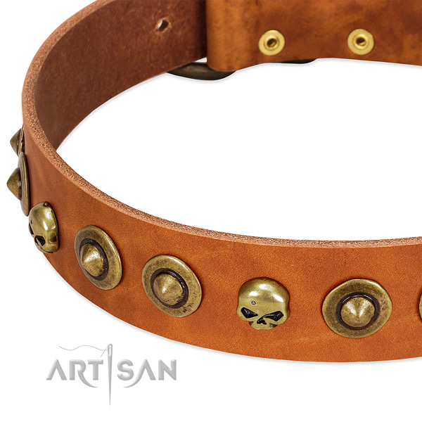 Exceptional studs on full grain genuine leather collar for your doggie