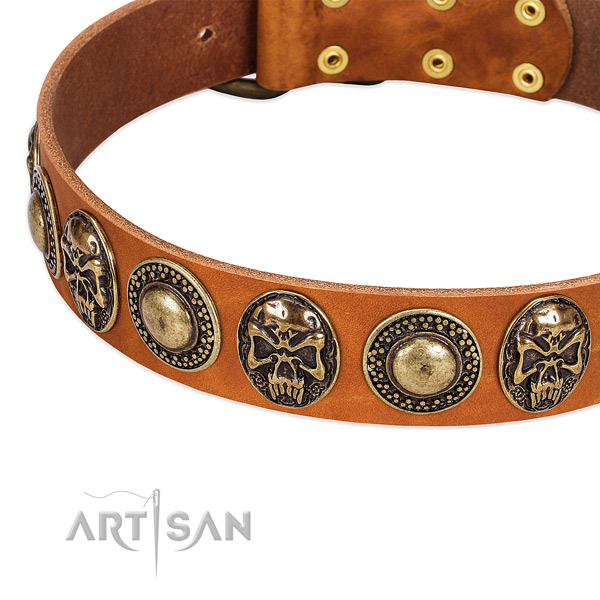 Durable embellishments on natural leather dog collar for your canine