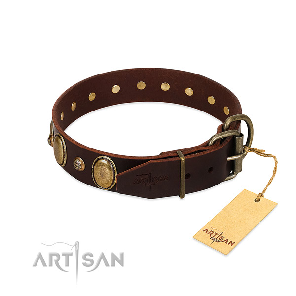 Durable hardware on full grain natural leather collar for stylish walking your pet