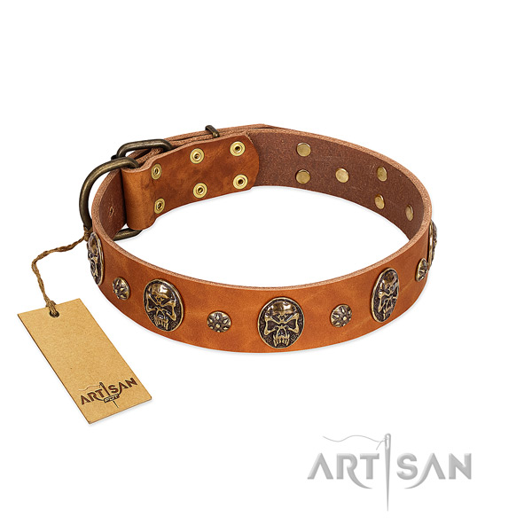 Unique leather collar for your four-legged friend