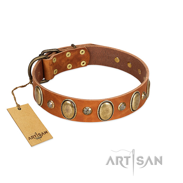 Natural leather dog collar of flexible material with fashionable adornments