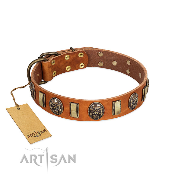 Stylish design leather dog collar for easy wearing