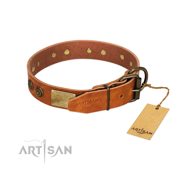 Durable fittings on full grain leather collar for daily walking your dog