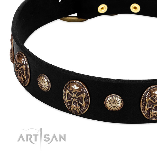 Full grain leather dog collar with amazing studs