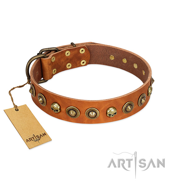 Genuine leather collar with unique embellishments for your canine