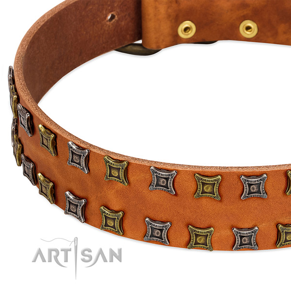 Gentle to touch full grain natural leather dog collar for your impressive four-legged friend