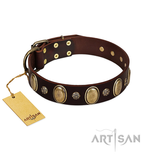Daily walking best quality genuine leather dog collar with embellishments