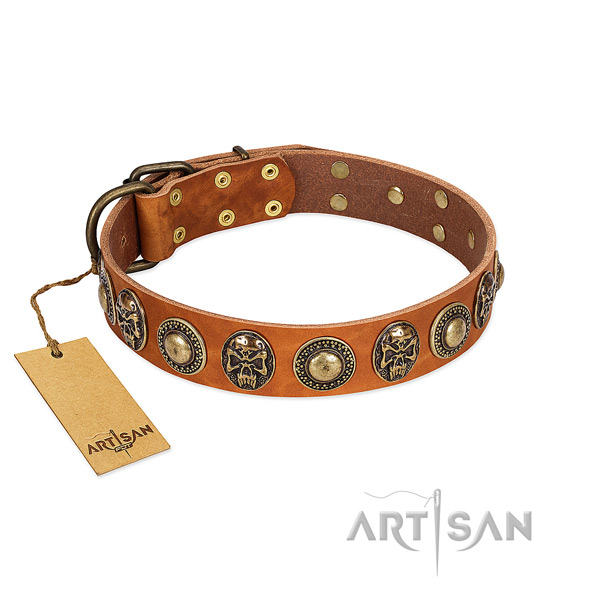 Easy adjustable leather dog collar for basic training your four-legged friend