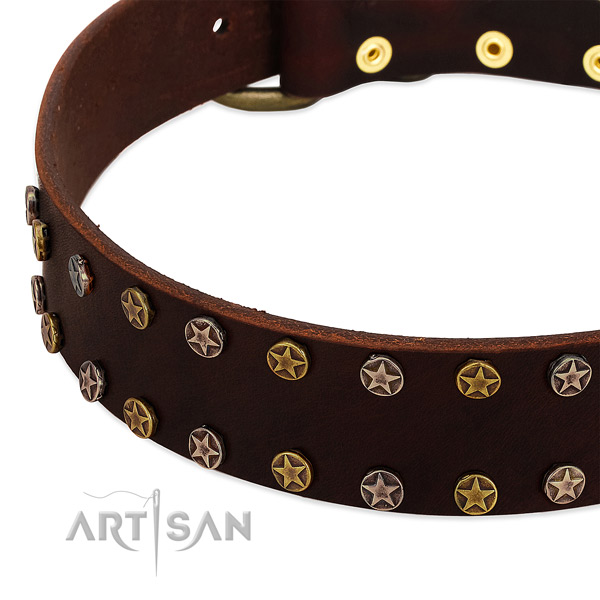 Handy use leather dog collar with unique adornments