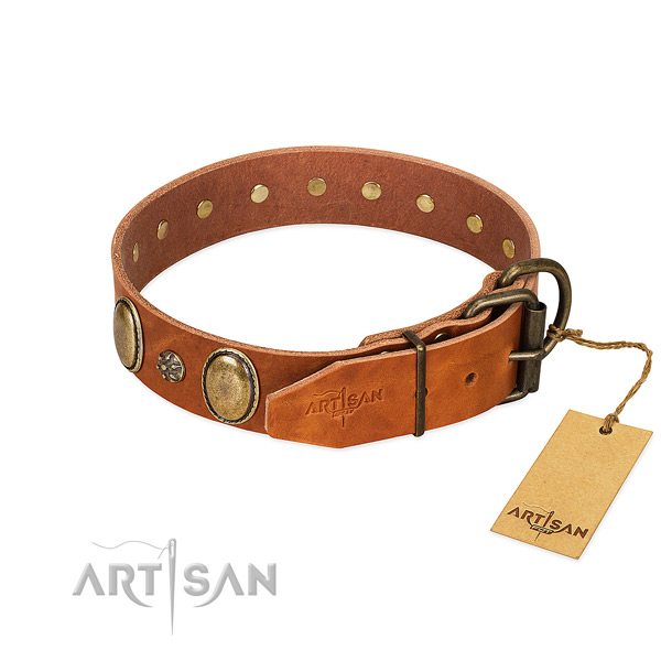 Daily use quality full grain genuine leather dog collar