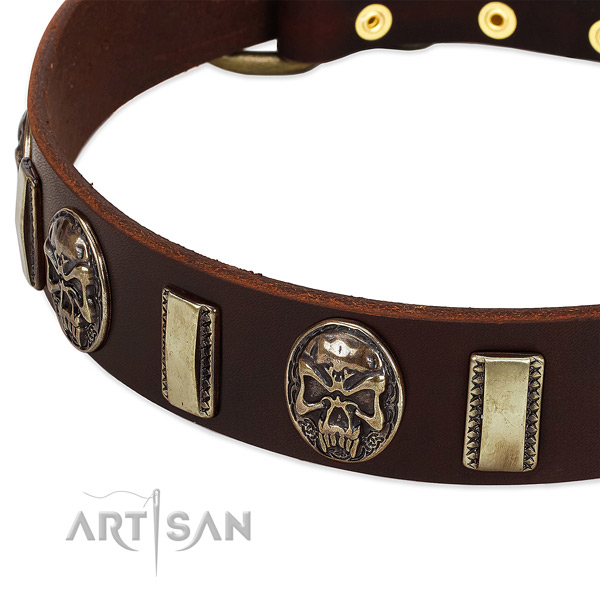 Strong studs on full grain natural leather dog collar for your four-legged friend