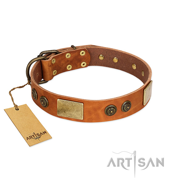 Adjustable full grain natural leather dog collar for everyday use
