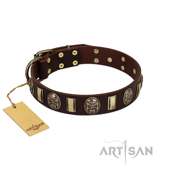 Easy wearing full grain leather dog collar for comfortable wearing