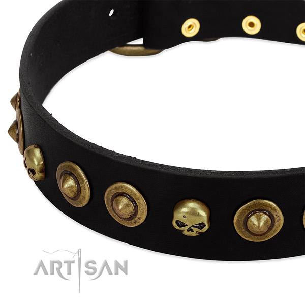 Full grain natural leather dog collar with amazing adornments