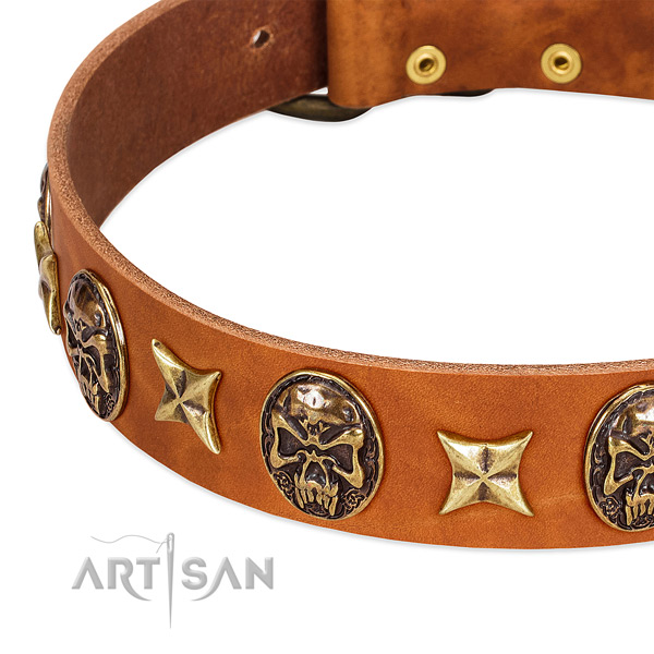 Corrosion resistant studs on full grain leather dog collar for your canine