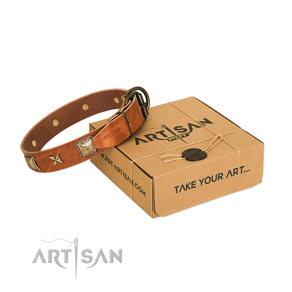 Exceptional genuine leather collar for your beautiful four-legged friend