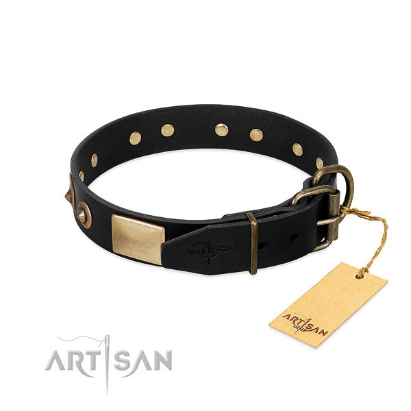 Reliable adornments on easy wearing dog collar