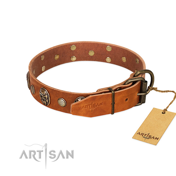 Rust-proof D-ring on full grain leather collar for fancy walking your doggie