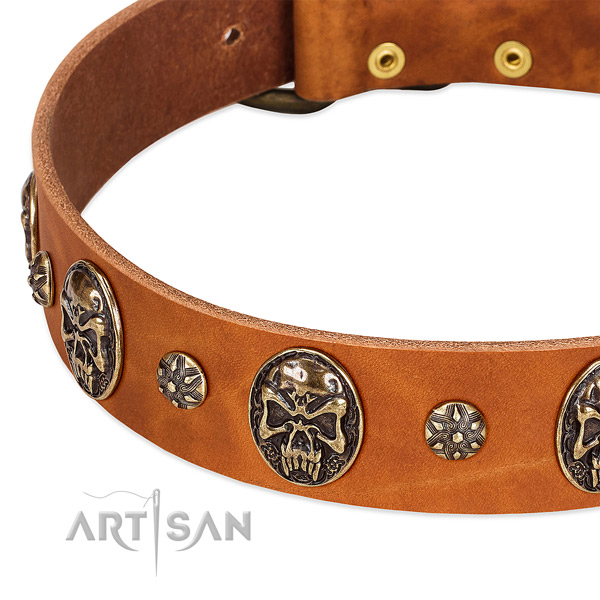 Rust-proof adornments on full grain leather dog collar for your canine