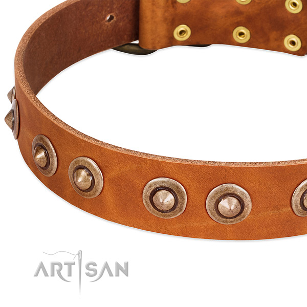 Corrosion proof D-ring on genuine leather dog collar for your canine