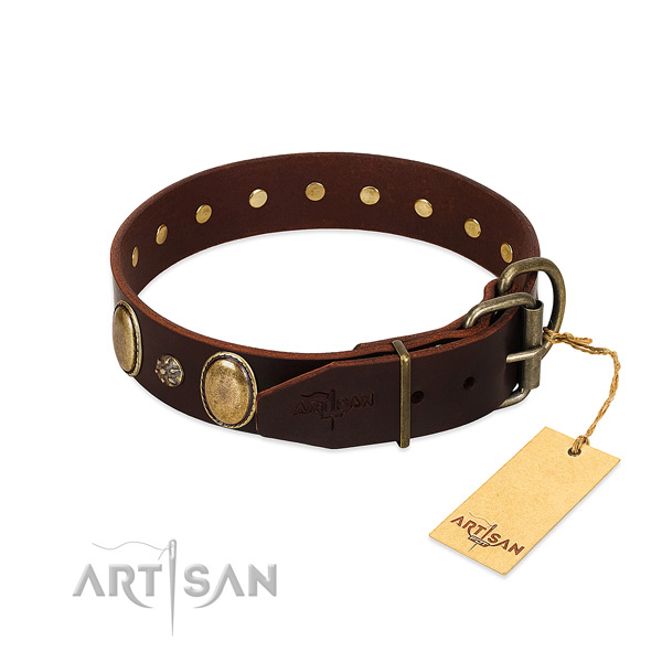 Comfy wearing top notch full grain leather dog collar