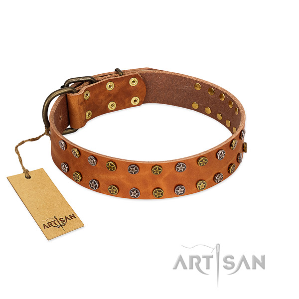 Everyday walking soft genuine leather dog collar with adornments
