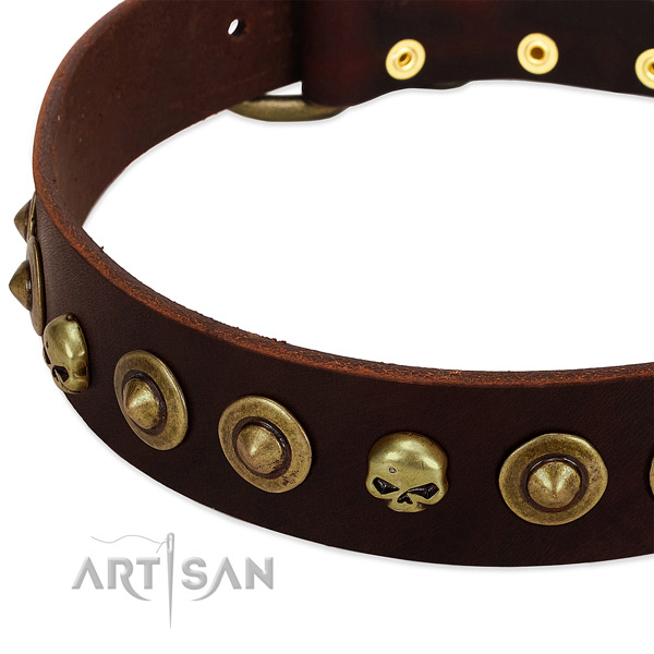 Designer decorations on natural leather collar for your four-legged friend