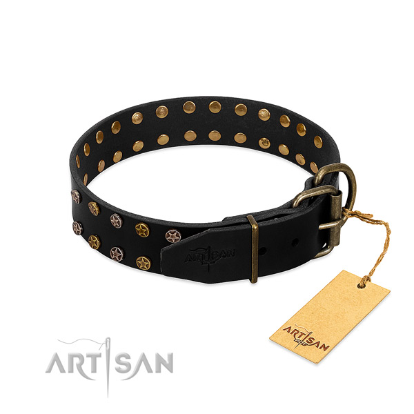 Full grain leather collar with extraordinary embellishments for your dog