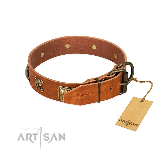 Stylish design full grain natural leather dog collar with durable adornments