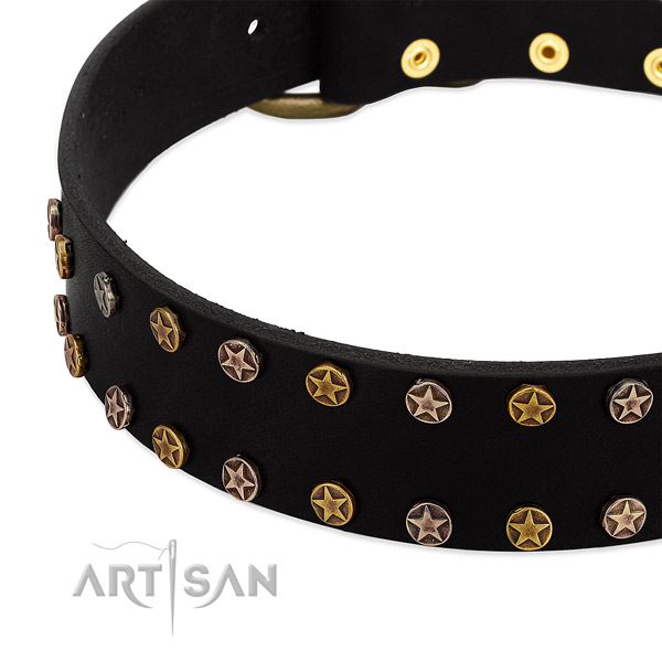 Trendy embellishments on full grain leather collar for your doggie