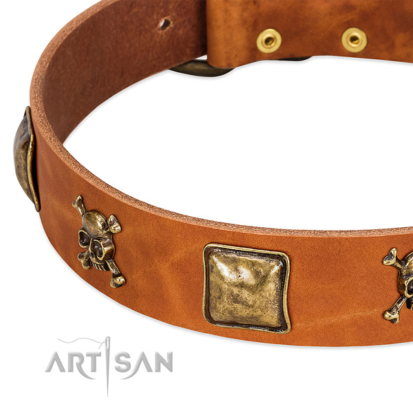 Stylish leather dog collar with strong embellishments