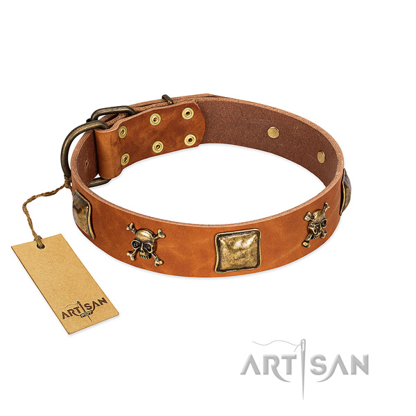 Amazing genuine leather dog collar with rust resistant embellishments