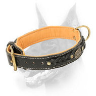 Royal Doberman Collar Padded with Soft Nappa Leather  Royal Doberman Collar Padded with Soft Nappa Leather