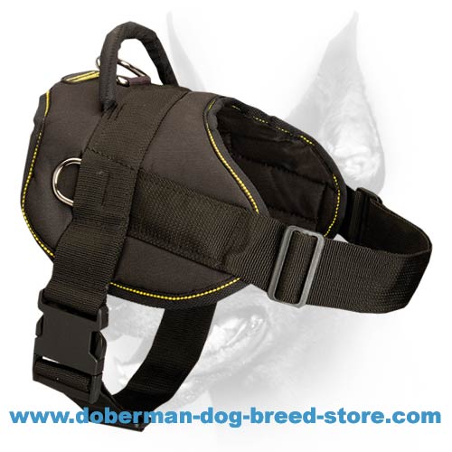 Nylon Doberman harness with ID-patches Get nylon Doberman harness with  ID-patches, All weather dog harness [H17##1036 Nylon harness with patches]  - $38.39 : Doberman Breed: Dog harness, Muzzle, Collar, Leash