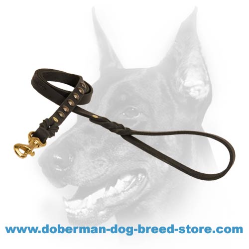 Handmade Leather Dog Leash with Braided Ends