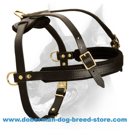 Professional Pulling/Tracking Leather Dog Harness