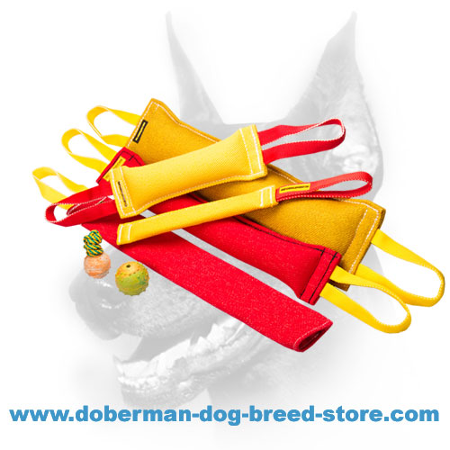 https://www.doberman-dog-breed-store.com/images/large/Doberman-dog-training-set-of-french-linen-tugs-TE65_LRG.jpg
