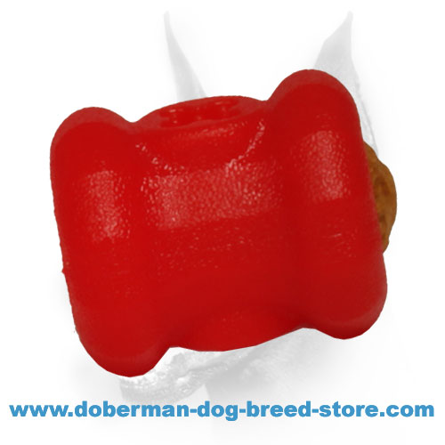 https://www.doberman-dog-breed-store.com/images/large/Doberman-dog-treat-dispenser-of-foam-small-TT27_LRG.jpg